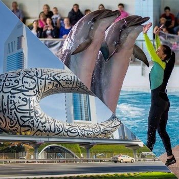 Future Museum + Dolphinarium Tickets – Best Combo Deal