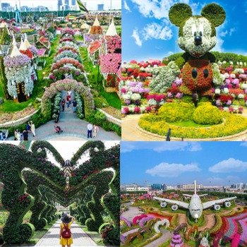 Miracle Garden Ticket + Dubai tour – Book Online