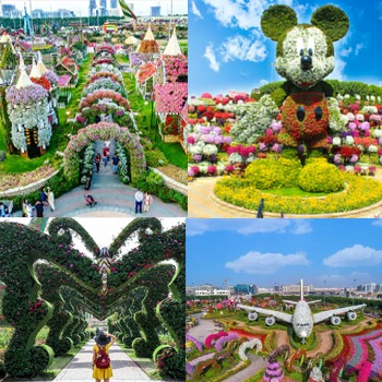 Miracle Garden Ticket + Dubai tour – Book Online